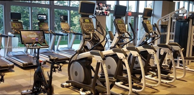 exercise room featuring plenty of natural light