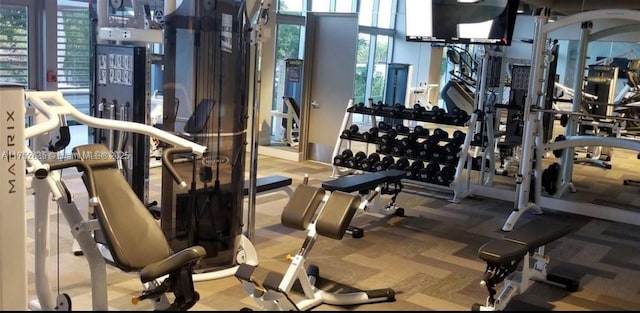 exercise room featuring light carpet