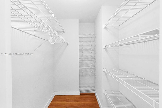 walk in closet featuring wood finished floors