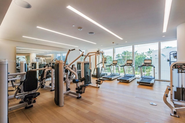 gym featuring light wood finished floors and expansive windows