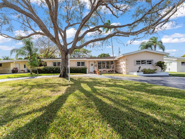 ranch-style home with a front yard, driveway, and stucco siding