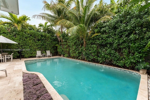 pool featuring a fenced backyard and a patio