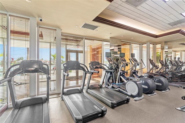 gym featuring visible vents and floor to ceiling windows