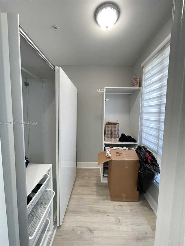 6651 NW 105th Pl Unit 6651, Doral, FL 33178 - walk in closet with light wood-style floors
