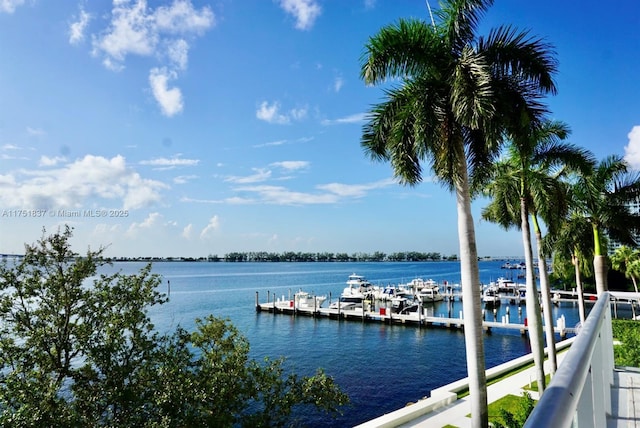 view of water feature with a dock