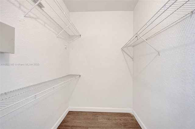 walk in closet featuring wood finished floors