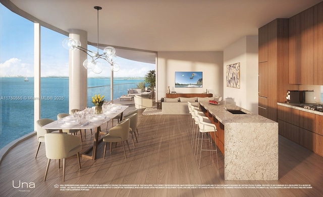 dining area with a wall of windows, plenty of natural light, wood finished floors, and a notable chandelier