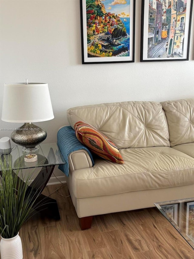 living area with wood finished floors