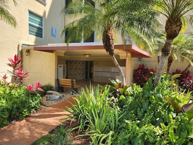 doorway to property featuring stucco siding