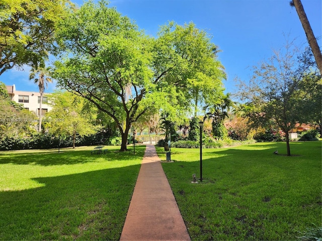 surrounding community featuring a yard