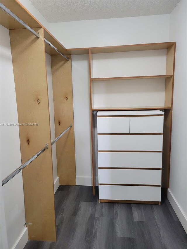1470 NE 123rd St Unit A204, North Miami, FL 33161 - walk in closet featuring dark wood-style floors and radiator heating unit