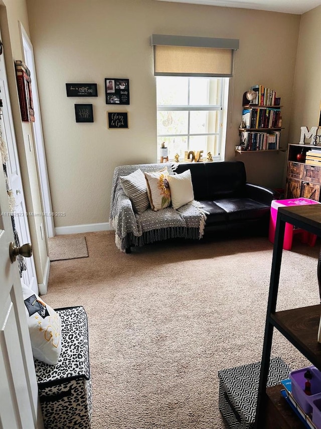 1550 NE 33rd Ave Unit 107-8, Homestead, FL 33033 - living room with carpet and baseboards
