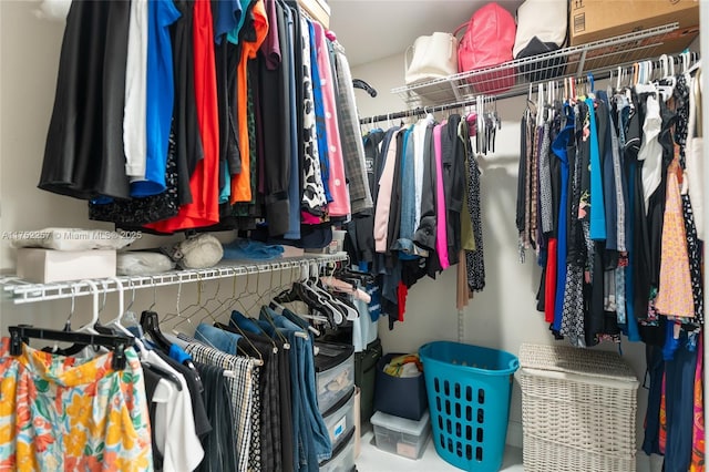 view of spacious closet