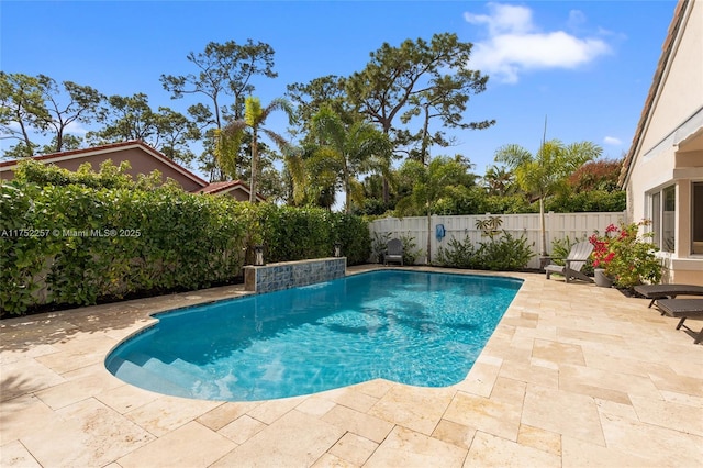 view of swimming pool with a fenced in pool, a patio area, and a fenced backyard