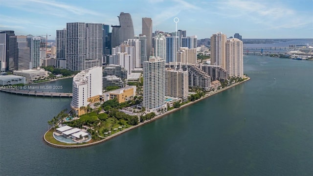 bird's eye view featuring a water view and a city view