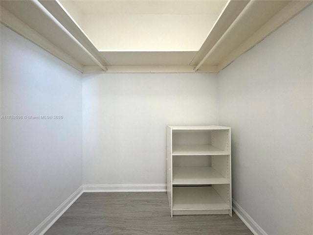 spacious closet with dark wood-type flooring