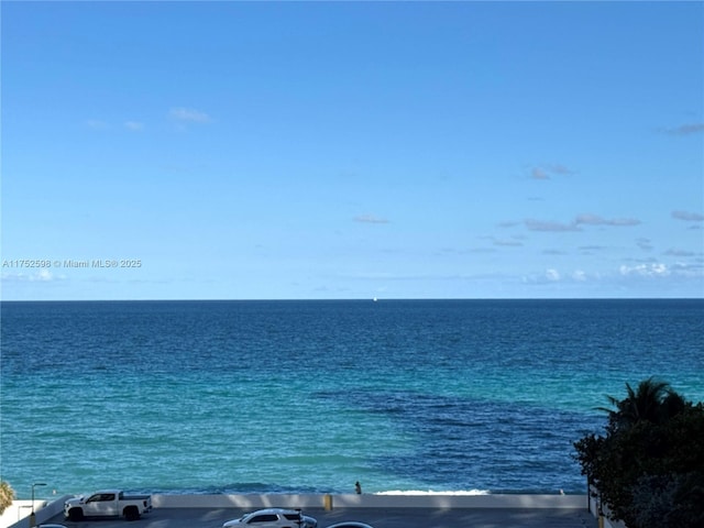 view of water feature