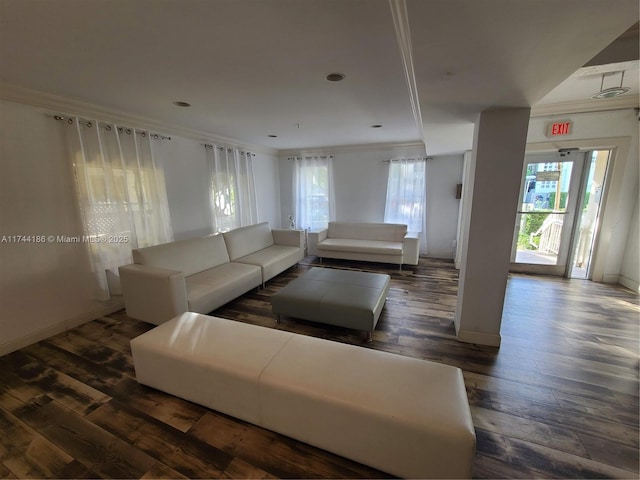 living area featuring ornamental molding, dark wood-type flooring, and baseboards