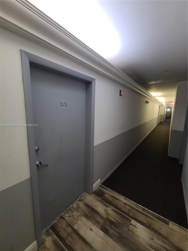 hallway featuring dark wood-style floors