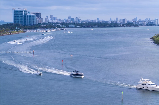 property view of water featuring a city view