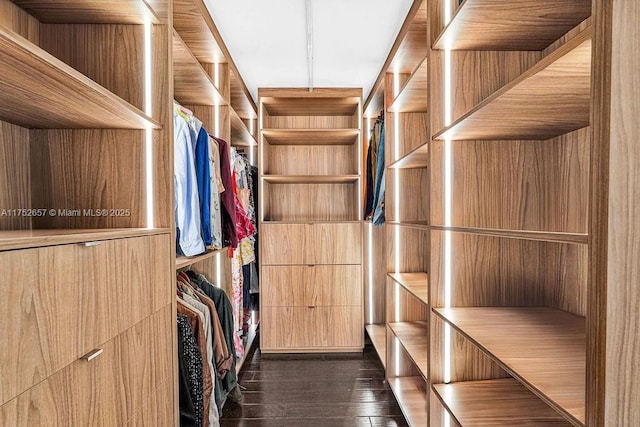 walk in closet with dark wood-type flooring