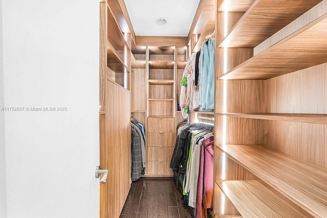 walk in closet with dark wood-style floors