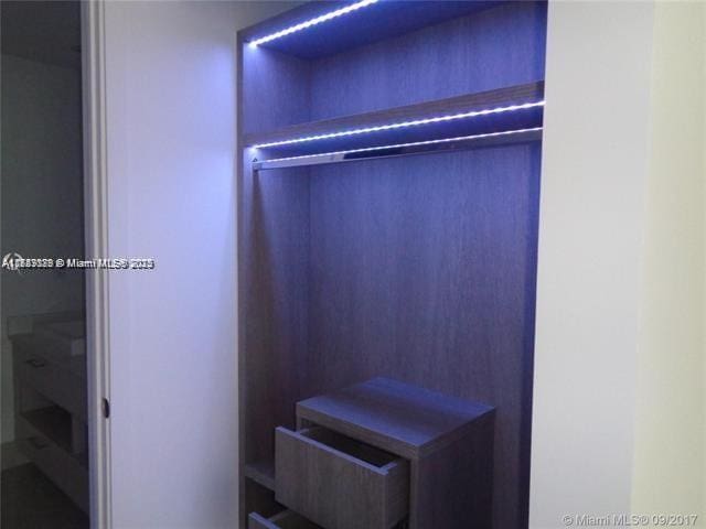 view of closet