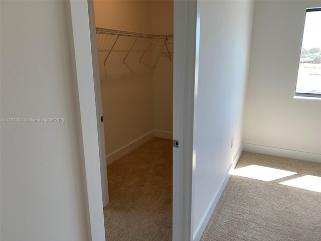 spacious closet with carpet