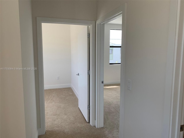 corridor featuring baseboards and carpet