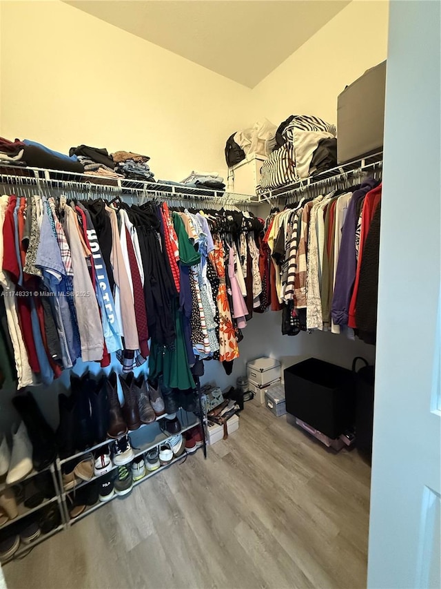 spacious closet with wood finished floors