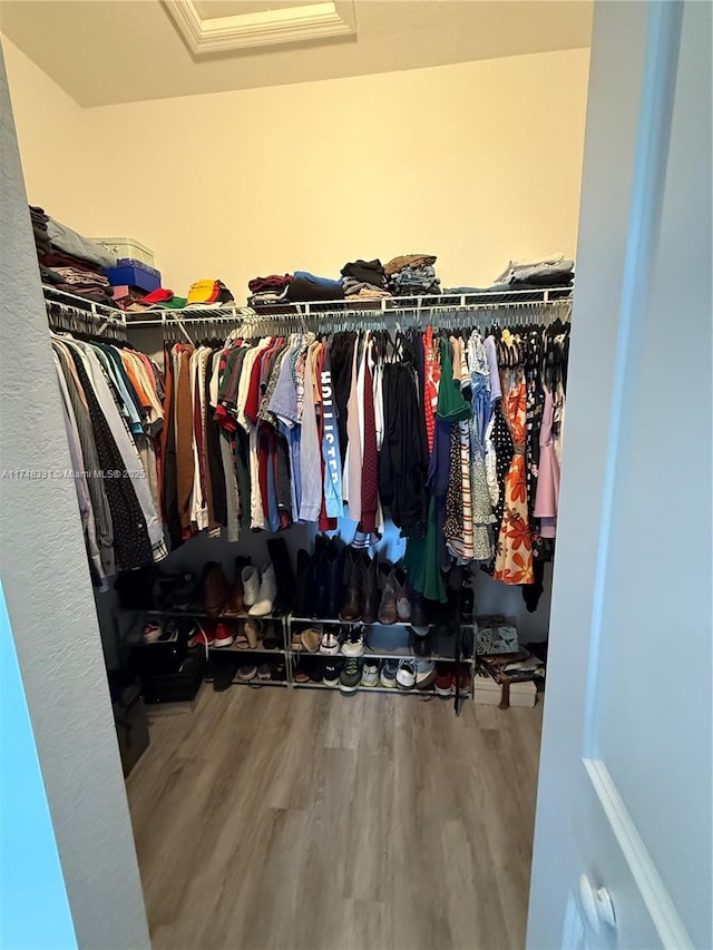 spacious closet with wood finished floors