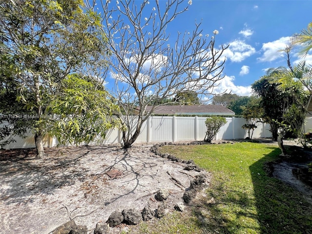 view of yard featuring a fenced backyard