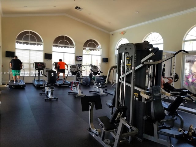 workout area featuring lofted ceiling, a healthy amount of sunlight, visible vents, and crown molding