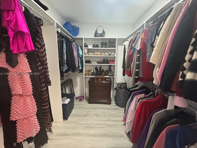 walk in closet featuring wood finished floors