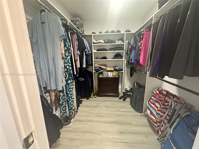 spacious closet featuring wood finished floors