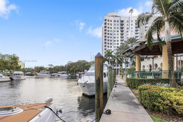 dock area with a water view