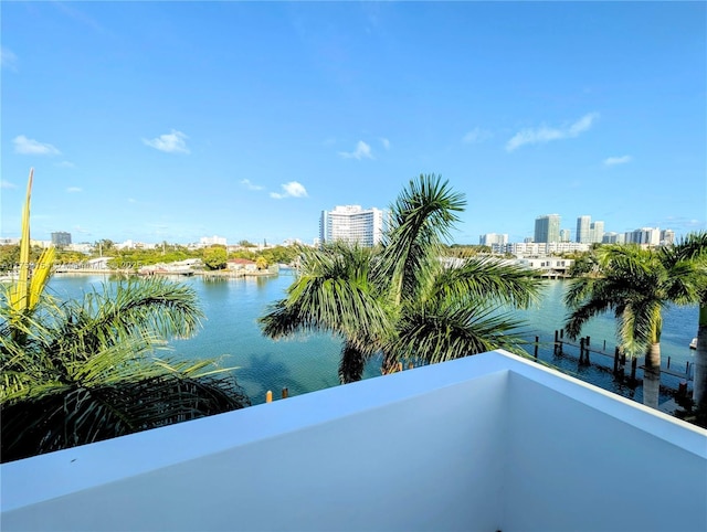 view of water feature with a view of city