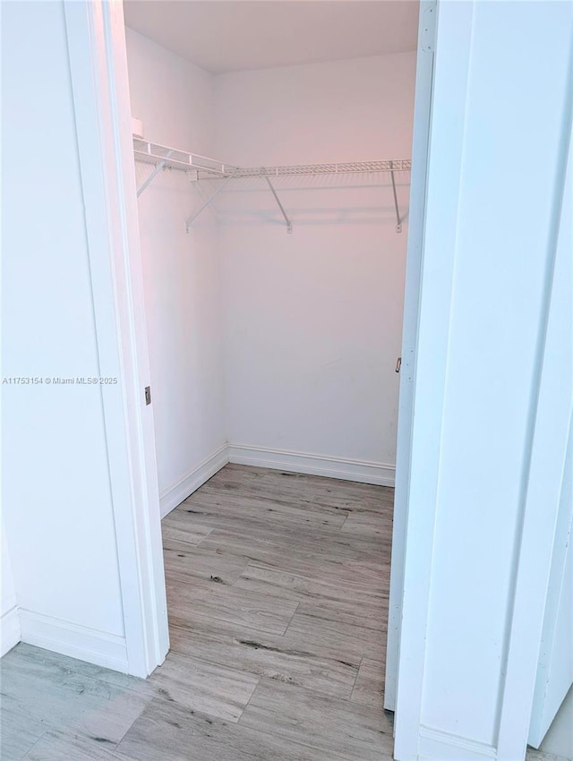 walk in closet with light wood-type flooring