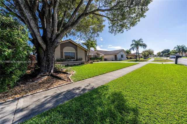 view of front of home featuring a front lawn and stucco siding