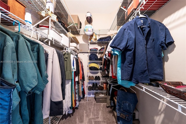 spacious closet featuring carpet flooring