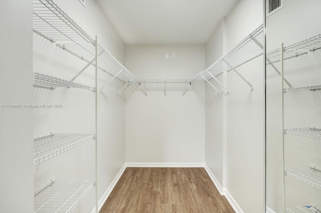 spacious closet with wood finished floors and visible vents