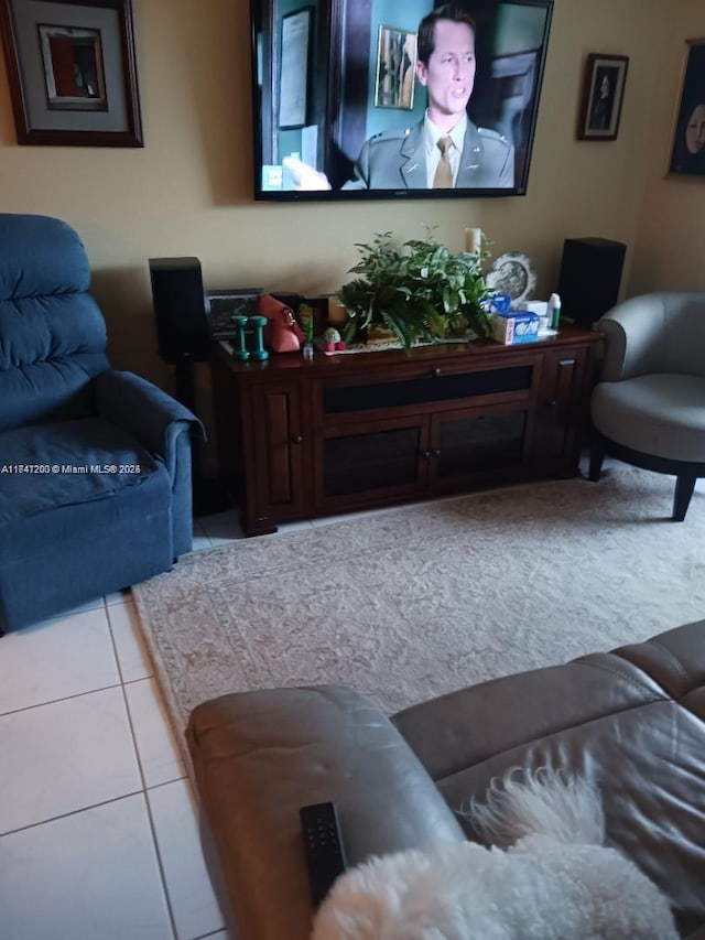 living area featuring tile patterned floors