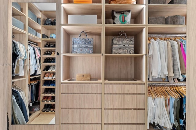 view of spacious closet