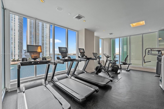 exercise room featuring a healthy amount of sunlight, floor to ceiling windows, and visible vents