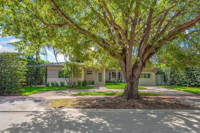 obstructed view of property featuring a front yard, concrete driveway, and stucco siding