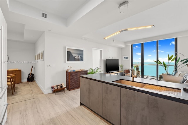 living room with light wood-style floors, a raised ceiling, visible vents, and baseboards