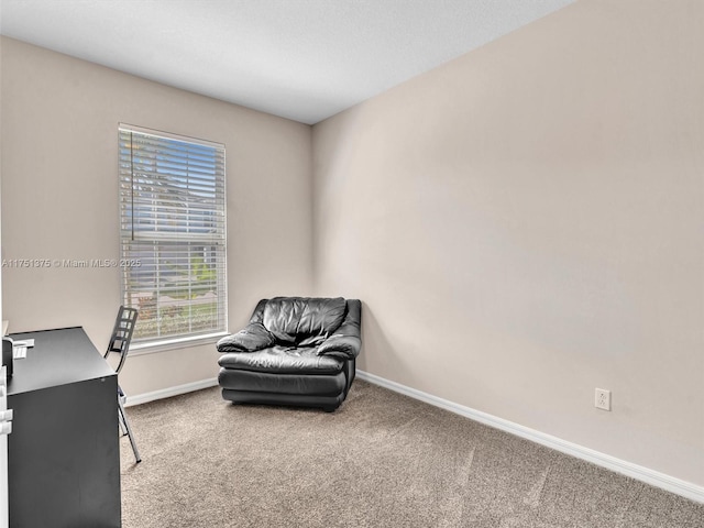 office space featuring carpet floors and baseboards