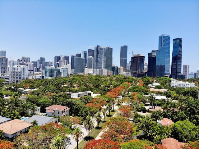 1915 S Miami Ave, Miami, FL 33129 - skyline view