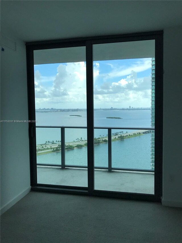 spare room with baseboards, a water view, and a wealth of natural light