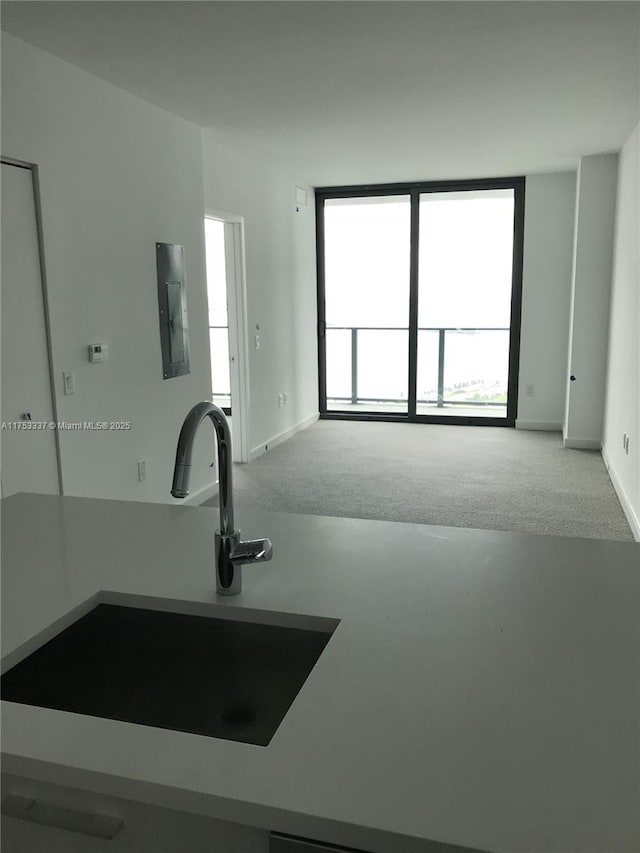 interior space with electric panel, carpet, baseboards, and a sink